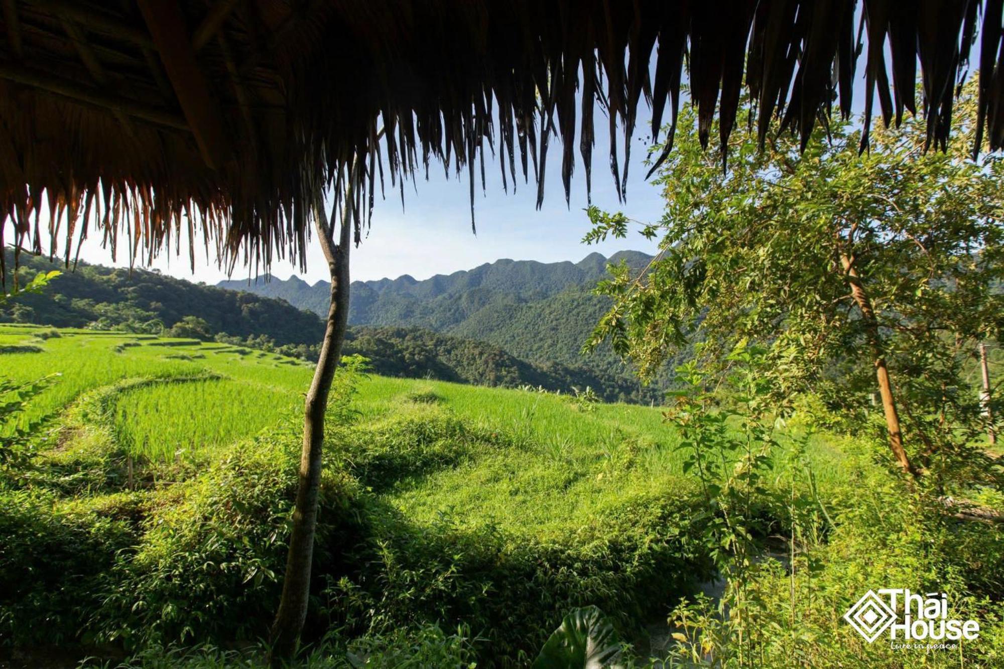 Tai Dam homestay Pu Luong Huong Ba Thuoc Bagian luar foto