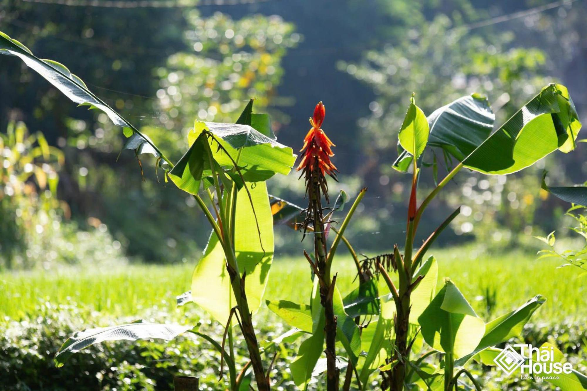 Tai Dam homestay Pu Luong Huong Ba Thuoc Bagian luar foto