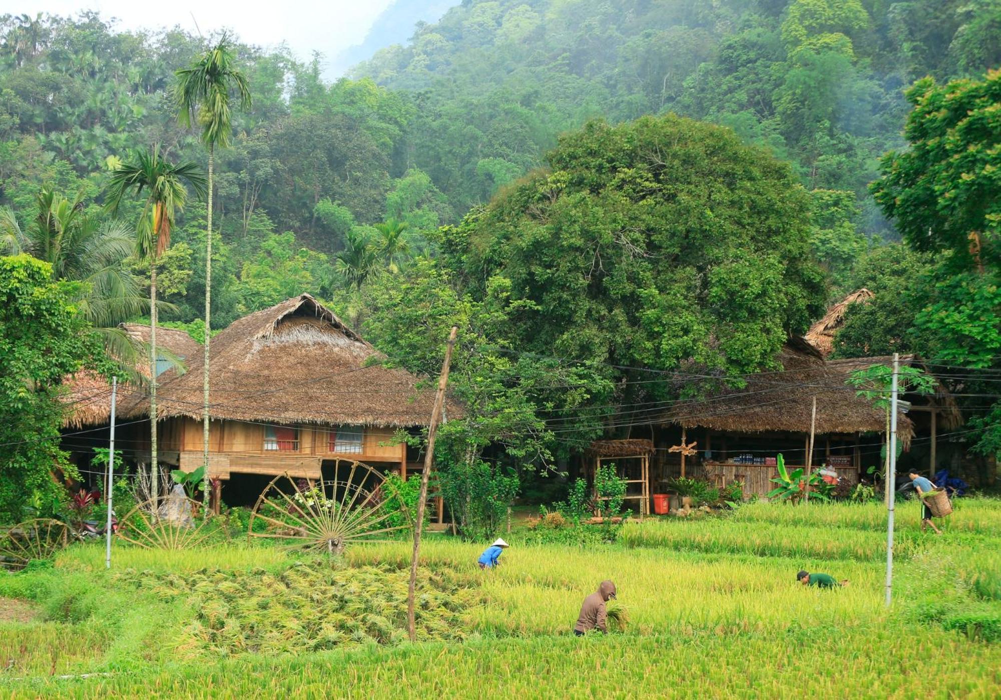 Tai Dam homestay Pu Luong Huong Ba Thuoc Bagian luar foto